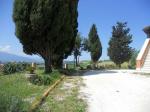Rustici e Casali in Vendita a Offida #9