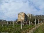 Rustici e Casali in Vendita a Ripatransone #19