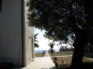 Ville di Prestigio in Vendita a Cupra Marittima #22