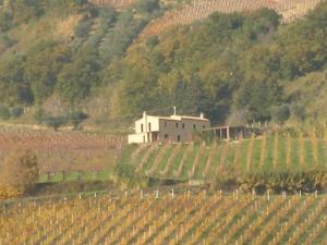 Rustici e Casali in Vendita a Ripatransone #2