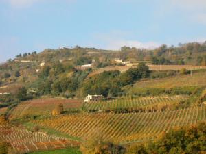 Rustici e Casali in Vendita a Ripatransone #18