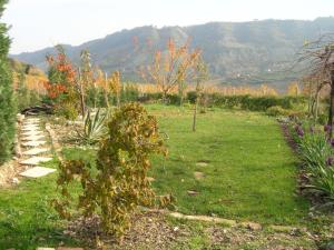 Rustici e Casali in Vendita a Ripatransone #8