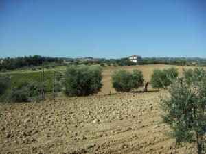 Case indipendenti in Vendita a Cupra Marittima #8