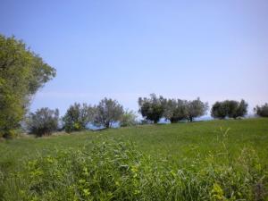Case indipendenti in Vendita a Cupra Marittima #13