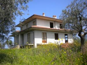 Case indipendenti in Vendita a Cupra Marittima #12