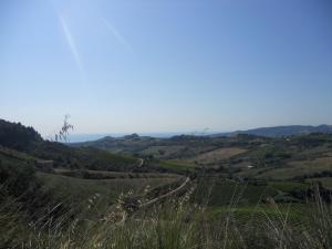 Rustici e Casali in Vendita a Monteprandone #2