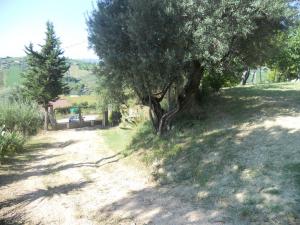 Rustici e Casali in Vendita a Monteprandone #22