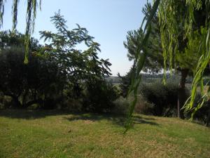 Rustici e Casali in Vendita a Monteprandone #18
