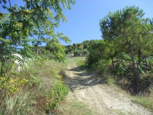 Rustici e Casali in Vendita a Monteprandone #23