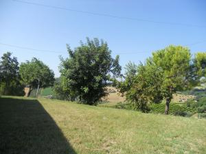 Rustici e Casali in Vendita a Monteprandone #13