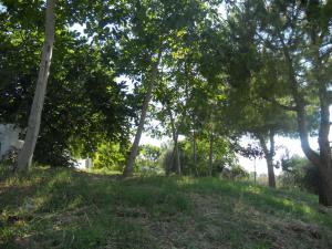 Rustici e Casali in Vendita a Monteprandone #24