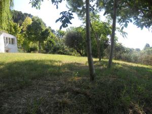 Rustici e Casali in Vendita a Monteprandone #15