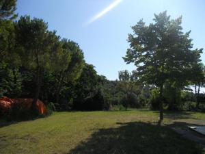 Rustici e Casali in Vendita a Monteprandone #34