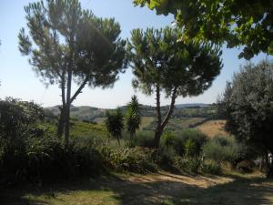 Rustici e Casali in Vendita a Monteprandone #25
