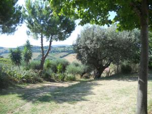 Rustici e Casali in Vendita a Monteprandone #21