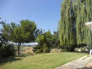 Rustici e Casali in Vendita a Monteprandone #10