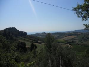 Rustici e Casali in Vendita a Monteprandone #33
