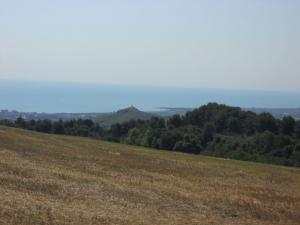 Rustici e Casali in Vendita a Monteprandone #6