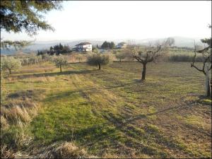 Rustici e Casali in Vendita a Offida #17