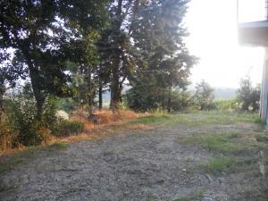 Rustici e Casali in Vendita a Offida #5