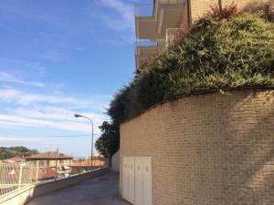 Appartamento in Vendita a Cupra Marittima #11