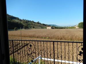 Appartamento in Vendita a Pedaso #14