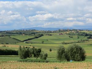 Rustici e Casali in Vendita a Castiglione del Lago #3