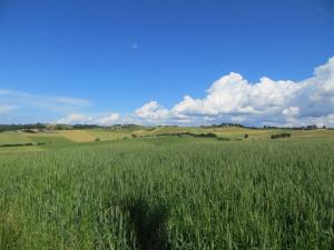 Rustici e Casali in Vendita a Castiglione del Lago #2