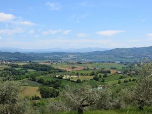 Rustici e Casali in Vendita a Panicale #18
