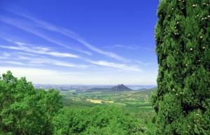 Rustici e Casali in Vendita a Panicale #20