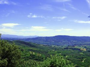 Rustici e Casali in Vendita a Panicale #19