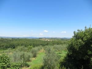 Rustici e Casali in Vendita a Sinalunga #7