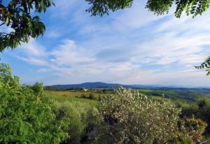 Rustici e Casali in Vendita a Castellina in Chianti #19