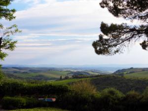Rustici e Casali in Vendita a Castellina in Chianti #20