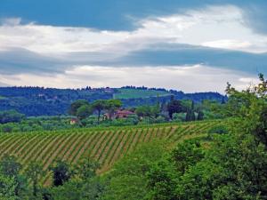 Rustici e Casali in Vendita a Castellina in Chianti #17