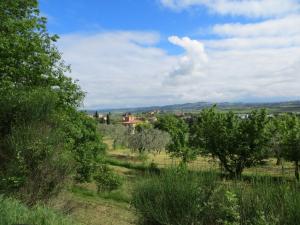Rustici e Casali in Vendita a Sinalunga #19