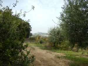 Case indipendenti in Vendita a Monteprandone #6