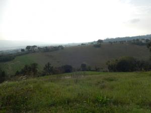 Case indipendenti in Vendita a Monteprandone #3