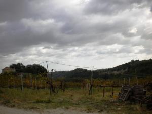 Rustici e Casali in Vendita a Ripatransone #17