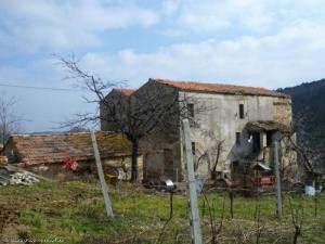 Rustici e Casali in Vendita a Ripatransone #14