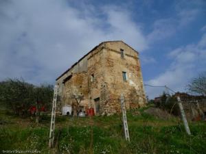 Rustici e Casali in Vendita a Ripatransone #20
