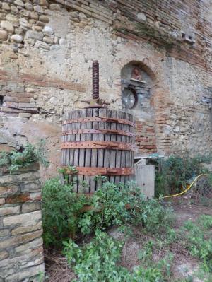 Rustici e Casali in Vendita a Ripatransone #8