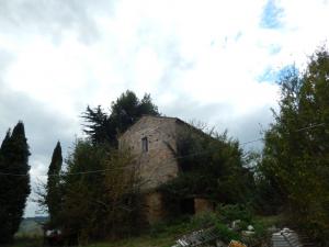Rustici e Casali in Vendita a Ripatransone #3