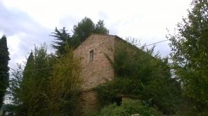 Rustici e Casali in Vendita a Ripatransone #16