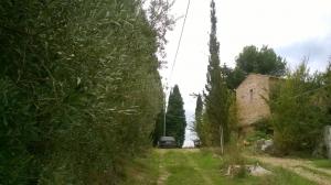 Rustici e Casali in Vendita a Ripatransone #14