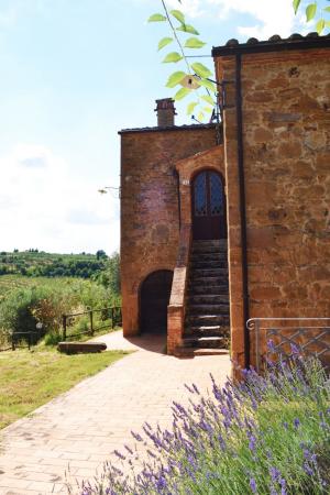Strutture ricettive in Vendita a Trequanda #11