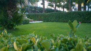Appartamento in Vendita a San Benedetto del Tronto #23