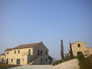 Rustici e Casali in Affitto a Montelparo #3