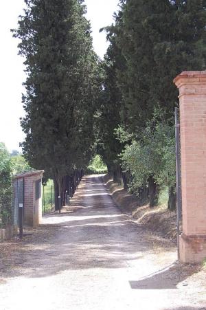 Ville di Prestigio in Vendita a Siena #23