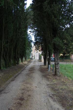 Ville di Prestigio in Vendita a Siena #25